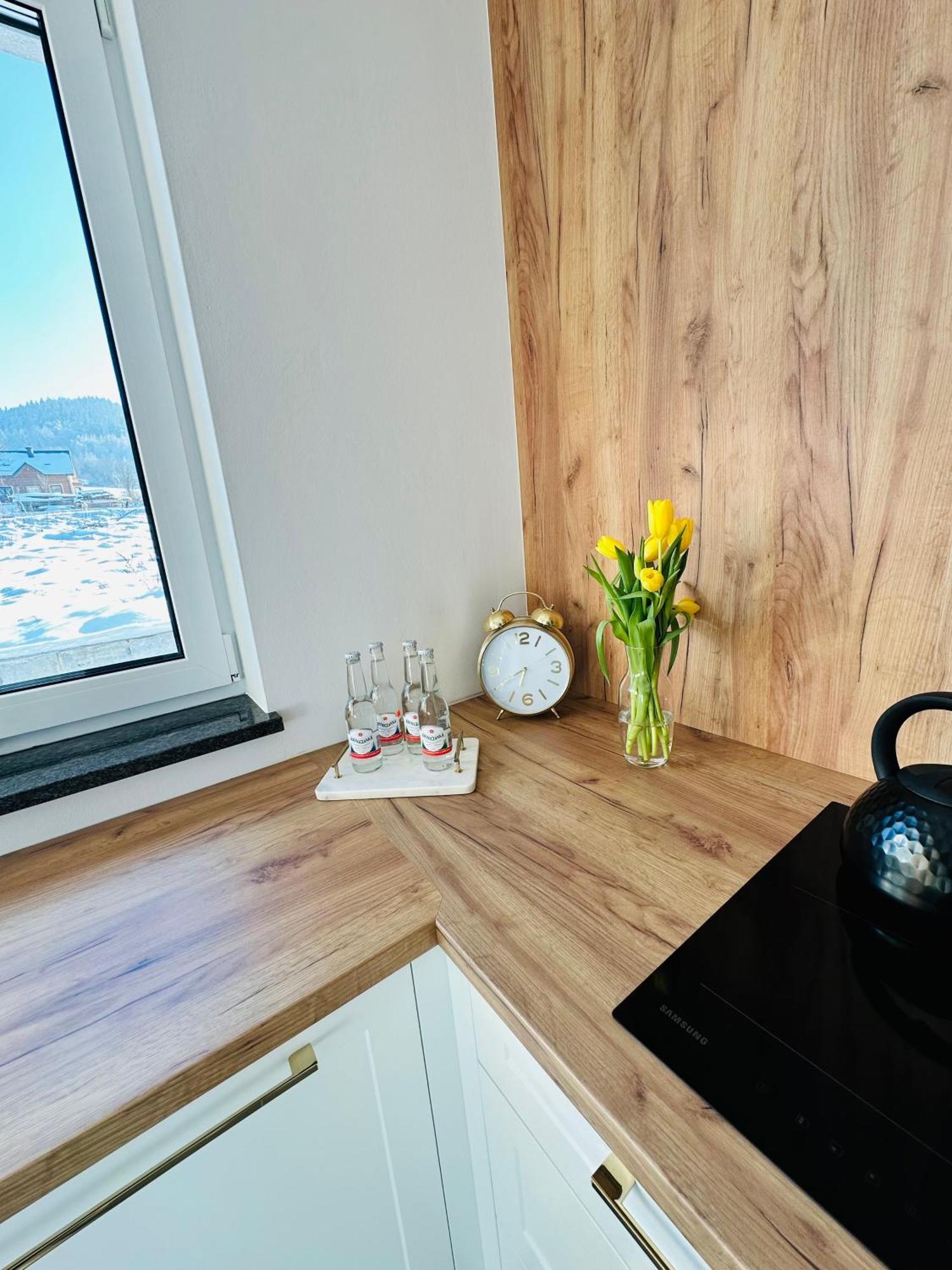 Apartament Krynica-Zdroj - Powroznik - Dom Na Wzgorzu - House On The Hill Мушина Екстер'єр фото